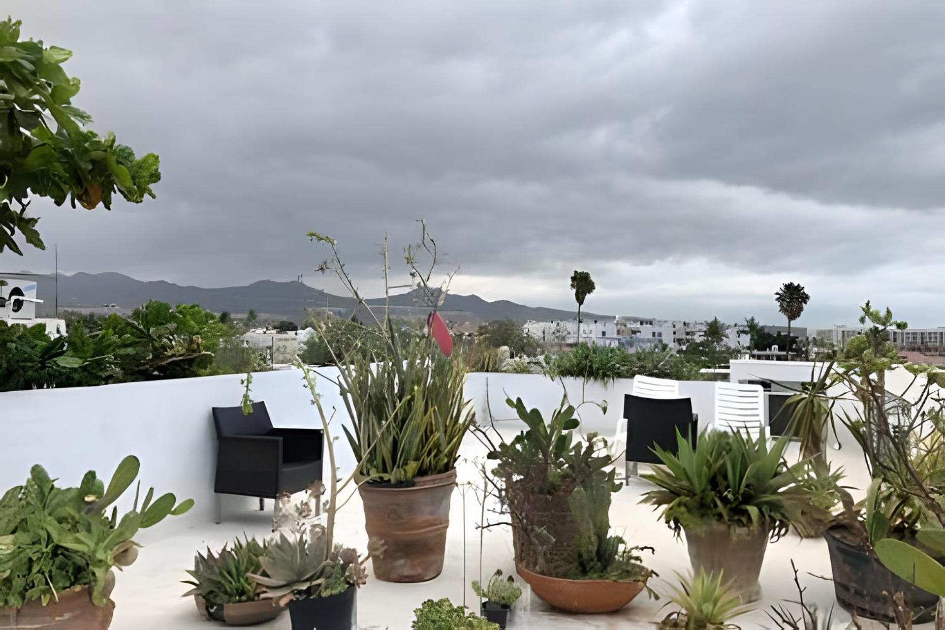 12 De Octubre Apartment Cabo San Lucas Bagian luar foto