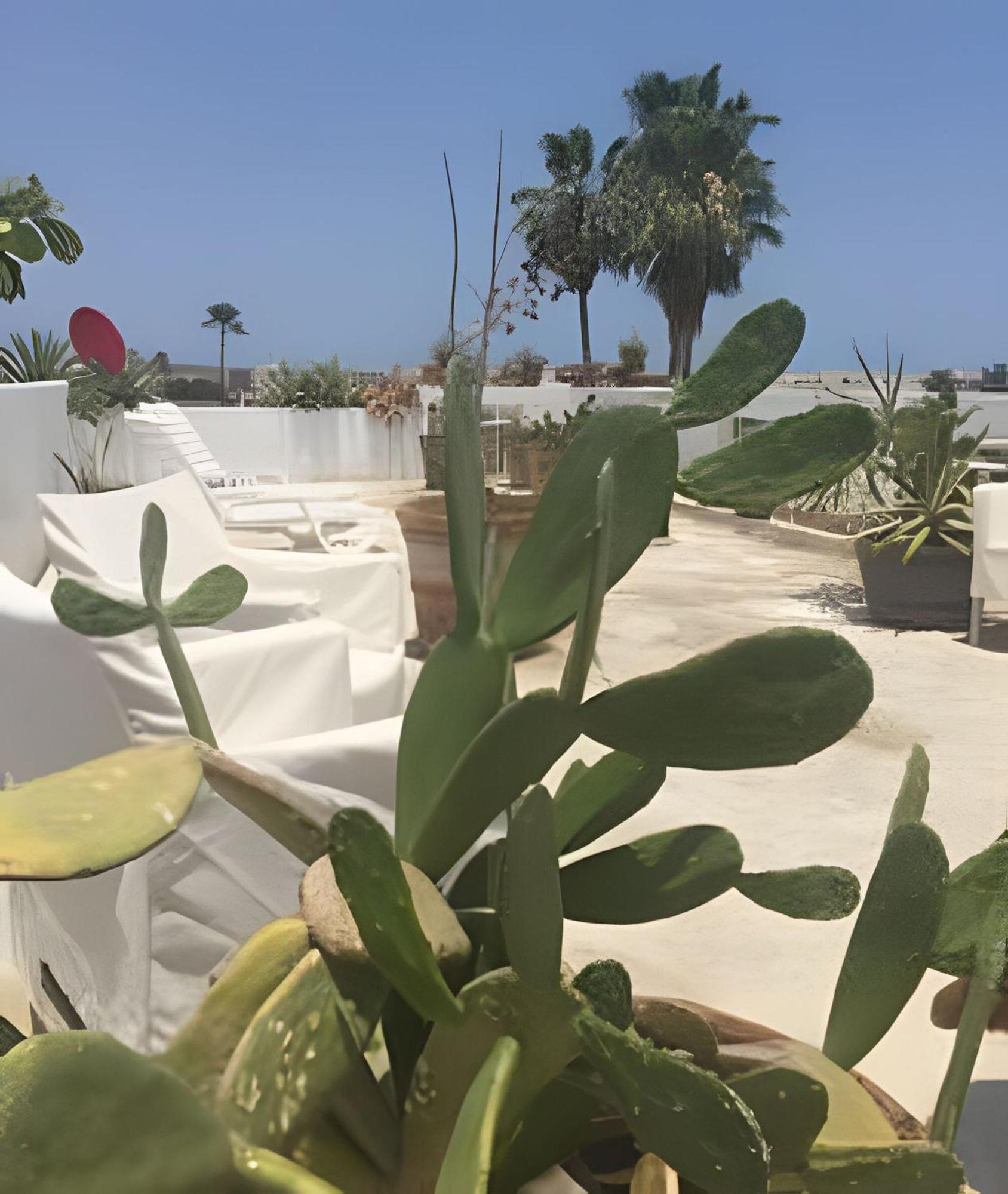 12 De Octubre Apartment Cabo San Lucas Bagian luar foto